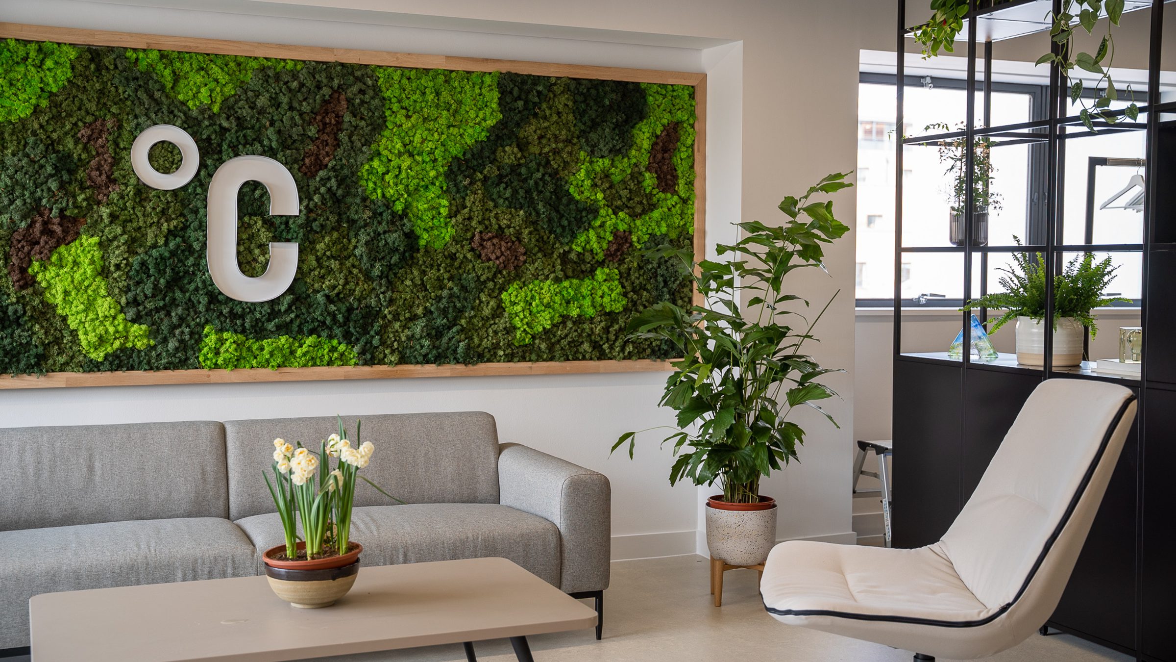 Loop Interiors | Home | Workplace Design & Consultancy